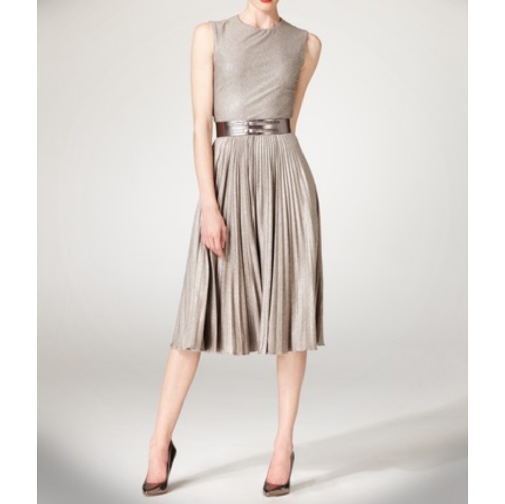 Maggy London Silver Pleated Dress